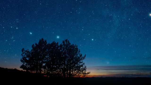 Cielo stellato con qualche albero- &copy;Pexels