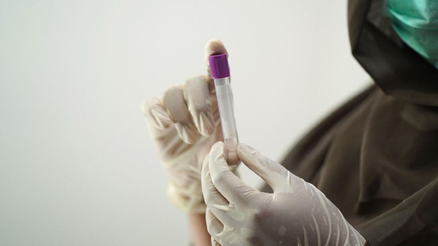 Foto di Shameer Pk da Pixabay.