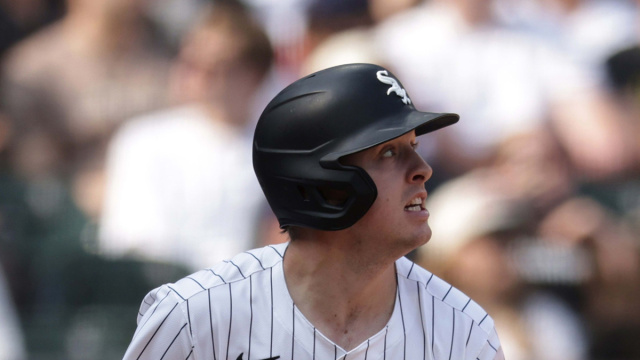 Kyle Teel to play for Team Italy in World Baseball Classic &copy; Creative Commons