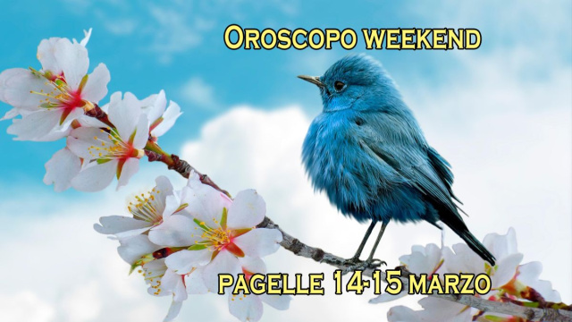 Locandina per l'oroscopo del weekend 14-15 marzo 2026 - &copy; Pixabay IA.