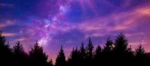 Previsioni zodiacali del 13 marzo: Toro e Vergine determinati