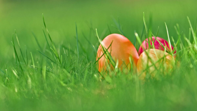 Delle uova colorate su un prato (&copy;pixabay.com)