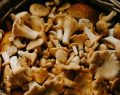 Bucatini funghi, pancetta e pomodorini secchi un primo piatto da provare