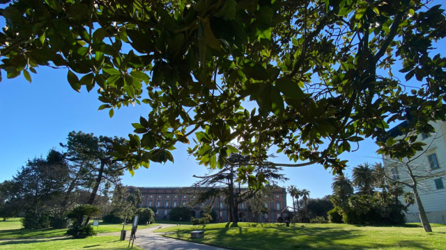 Campania Teatro Festival 2021 al Museo e Real Bosco di Capodimonte ... &copy; Creative Commons