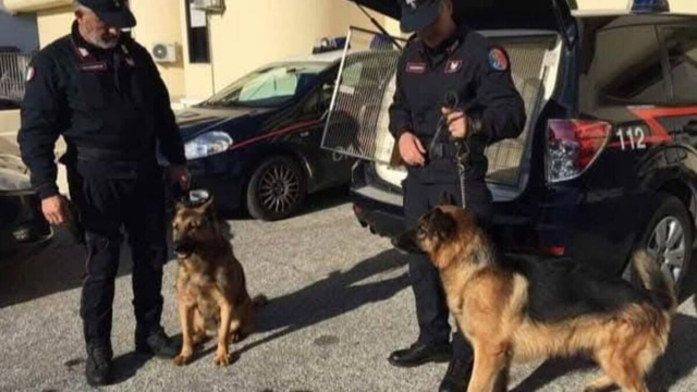 Due carabinieri con i cani foto da facebook