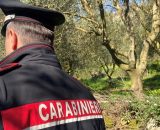 Carabiniere durante un controllo - &copy; Facebook / Carabinieri