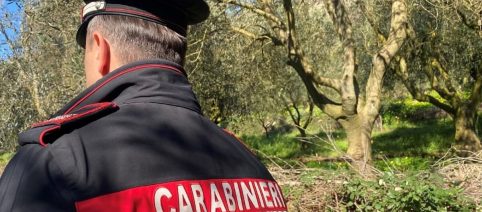 Uomo accoltellato al torace e al volto: grave 36enne nel vibonese