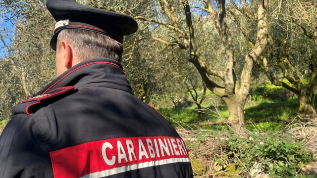 Carabiniere durante un controllo - &copy; Facebook / Carabinieri