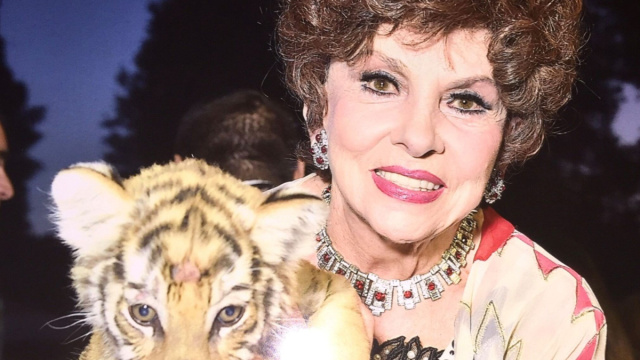 Gina Lollobrigida, l'eredit&agrave; della diva diventa una docu-serie: il ... &copy; Creative Commons