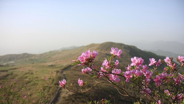 Vista panoramica sulle montagne &copy; Pixabay.