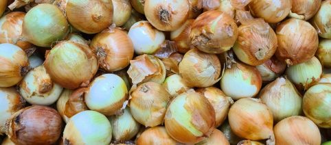 Crostata salata con le cipolle e scamorza un rustico tipico della Sicilia