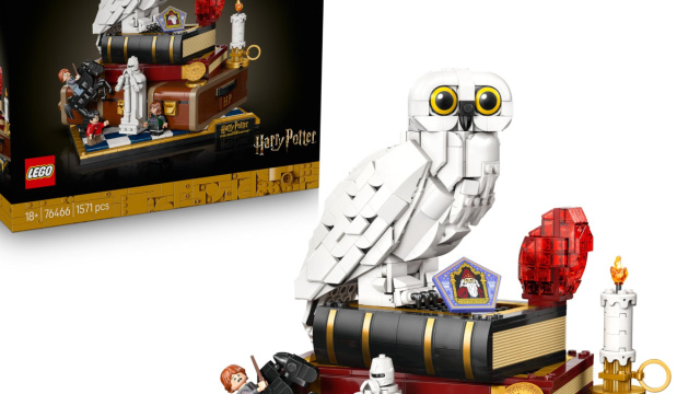 LEGO Harry Potter Pietra Filosofale &ndash; Edizione del Collezionista ... &copy; Creative Commons