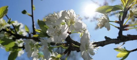 L'oroscopo del giorno sabato 14/3: Scorpione un passo avanti, Venere lascia i Pesci