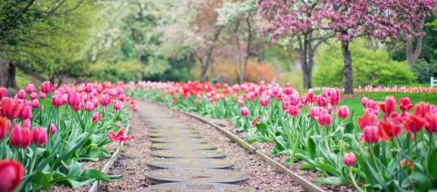 L'oroscopo del giorno domenica 15/3: Leone non smette di sognare e ambire alto