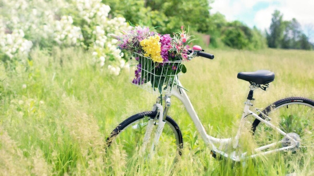 Bicicletta su un prato verde (&copy;pixabay.com)
