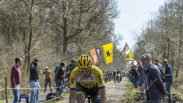 Il Ciclista Maarten Wynants Nella Foresta Di Arenberg- Parigi Rou ... &copy; Creative Commons