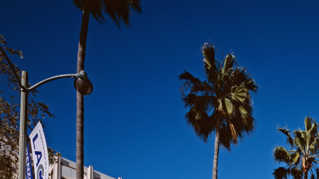Los Angeles County Museum of Art - Wikipedia &copy; Creative Commons