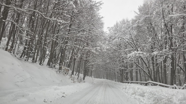 Valanga sul Gran Sasso&copy; Creative Commons