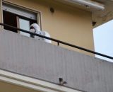 Vasto, ventunenne trovato morto &copy; Creative Commons