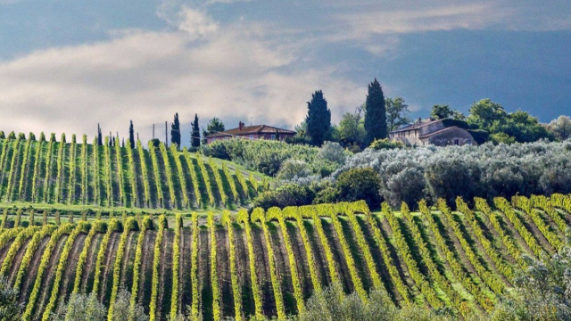 Le splendide Colline maremmane