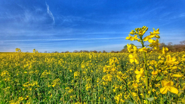 Una giornata soleggiata di primavera.