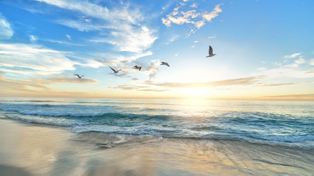 Spiagga con delle rondini (&copy;pixabay.com)