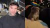 Fedez dedica il disco d’oro a Maurizio, il chihuahua toy che ha portato serenità