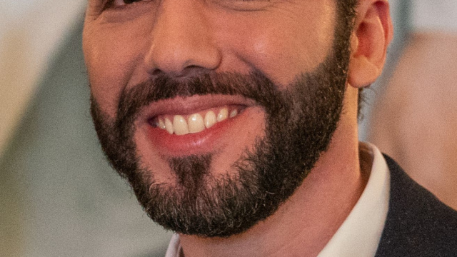 File:Nayib Bukele - 2019 (48342383356) (cropped).jpg - Wikipedia &copy; Creative Commons