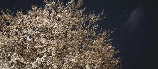 news-image
