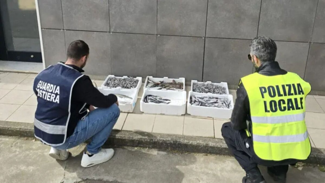 Crotone, i prodotti ittici sequestrati - &copy; Capitaneria di porto di Crotone