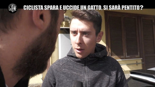 Gatto ucciso, arrivano Le Iene. Tiberi: "sento di aver imparato ... &copy; Creative Commons