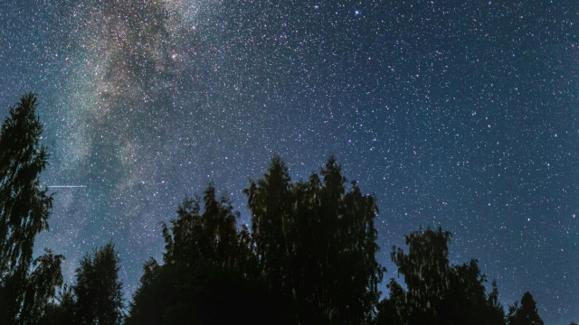 Cielo stellato con alberi-&copy; Pexels