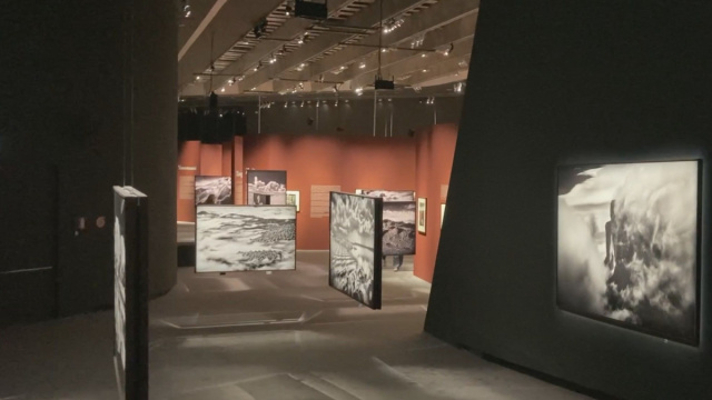 SALGADO IN MOSTRA A ROMA: LA SCELTA VINCENTE DI UTILIZZARE IL ... &copy; Creative Commons