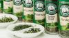Liquore centerbe, una preparazione medioevale per una leccornia unica