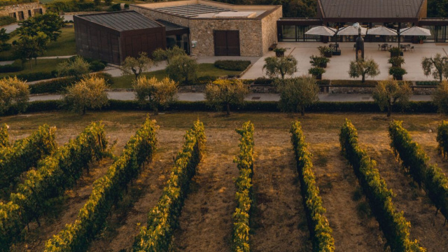 Agricoltura: i trend pi&ugrave; profittevoli del 2026