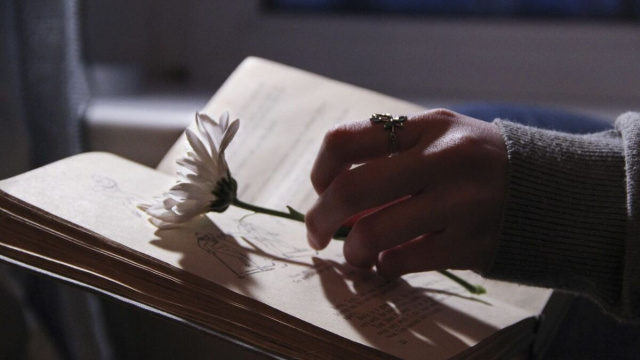 Mano che mette fiore bianco in un libro - pixabay.com