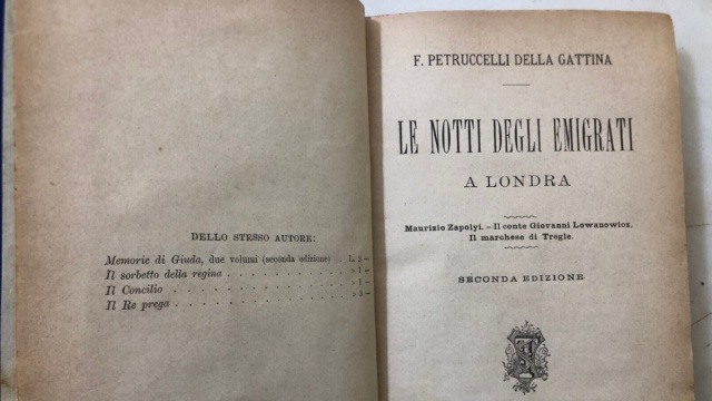 Petruccelli della Gattina 2 Rari antichi libri uniti insieme 1881 ... &copy; Creative Commons