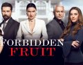 Cambio programmazione Mediaset giugno: Forbidden Fruit sospesa di sera, debutta L'Erede