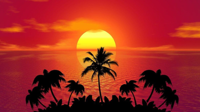Spiaggia al tramonto con alberi di palma &copy; Pixabay.