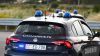 Lite per l'orto, agricoltore spara al fratello: arrestato