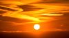 L'oroscopo del giorno lunedì 1° giugno: spinta positiva di Venere per i nativi Cancro