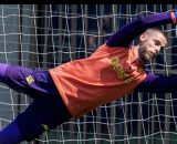David de Gea, portiere della Fiorentina. Foto &copy; Fiorentina