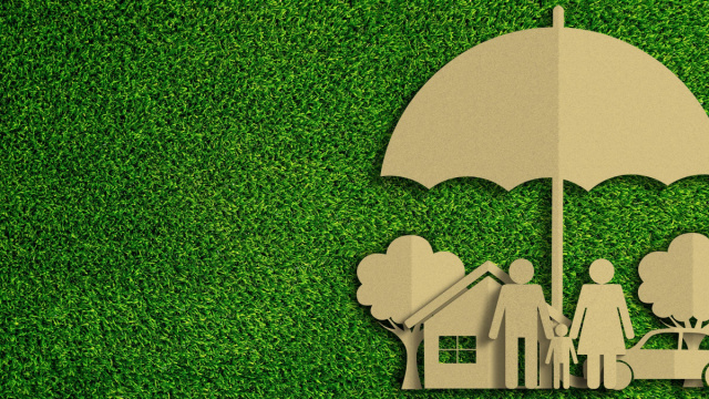ASSICURAZIONI GREEN, SCATTA L'ALLARME: SOLO LO 0,45% DELLE AZIENDE ... &copy; Creative Commons