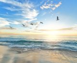 Spiaggia con uccelli in volo (&copy;pixabay.com)