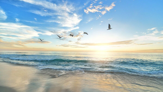 Spiaggia con uccelli in volo (&copy;pixabay.com)