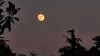 L'oroscopo del 31/05 con classifica: oro al Sagittario influenzato dalla Luna Piena