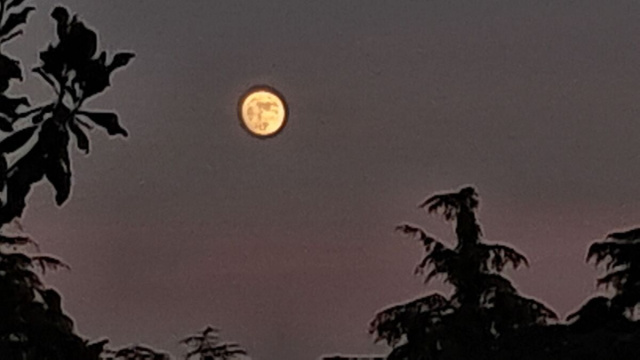 Paesaggio con Luna Piena- &copy;Katia Di Luna