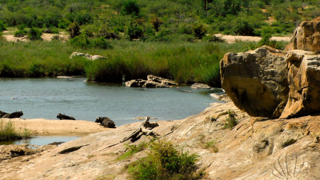 La mia Africa: safari al Kruger National Park &mdash; Giorni Rubati &copy; Creative Commons