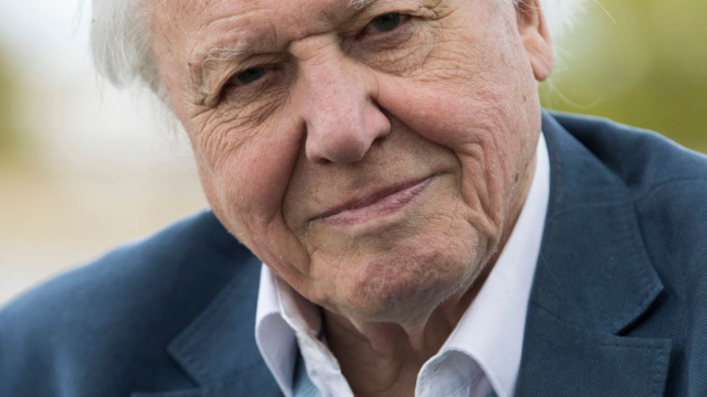 Dave Attenborough Wild Isles Sir David Attenborough, Ovvero Sua ... &copy; Creative Commons