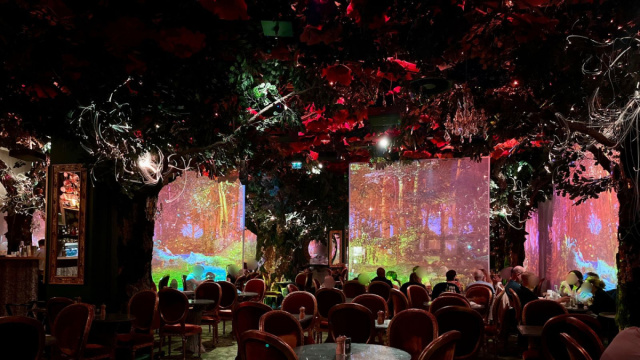 Wonderwoods: il ristorante immersivo nel cuore della foresta ... &copy; Creative Commons